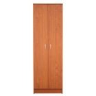 Gabinete de 2 Puertas de Almacenamiento MDF Maple