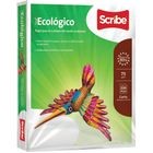 PAPEL CLASE ECOLOGICO BLANCO 75 GRS  BLANCURA 500H