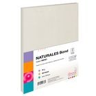 Papel Fino Pochteca Gris tama¦o carta 80 hojas 90g