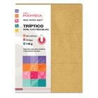 TRIPTICO YUTE PREDOB 118G 50H