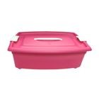 CAJA ORGANIZADORA C/ASA 12.6LT COLORES MATE