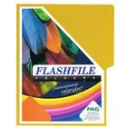 Folder flashfile neón carta Limón c/10