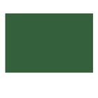 CARTULINA IRIS 50X60CM, 185 G/M2, PIEZA, VERDE ABETO
