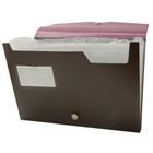 Archivero Expandible Officemax Tamaño Carta 13 Divisiones 1 Pieza