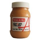 PINTURA ACRILICA CARNE 300 100 ML PINTART
