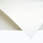 PAPEL FABRIANO CARTULINA 160GRS 50 X 70CM 2 PZAS