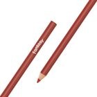 Colores Fantasy Estuche 24pzas