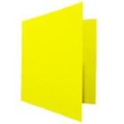 CARPETA BASICA NEON COLORES CARTA 1  PIEZA