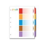 SEPARADORES CON 5 DIVISIONES COLORINDEX JUEGO